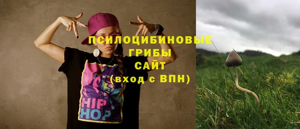 прущие крисы Белоозёрский