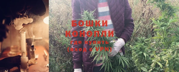 прущие крисы Белоозёрский