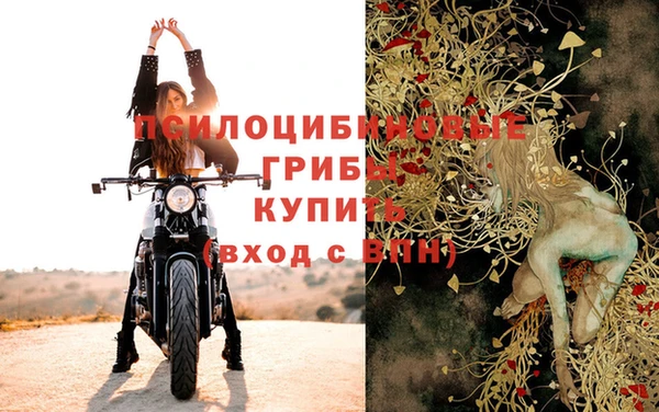 стаф Белокуриха