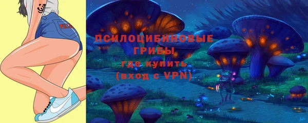 прущие крисы Белоозёрский
