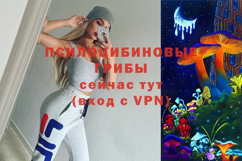 Псилоцибиновые грибы Psilocybe  купить закладку  Белоусово 