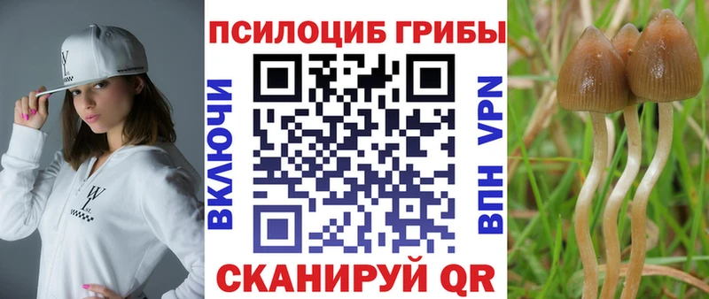 Псилоцибиновые грибы Cubensis  сколько стоит  Белоусово 